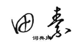 駱恆光田素草書個性簽名怎么寫