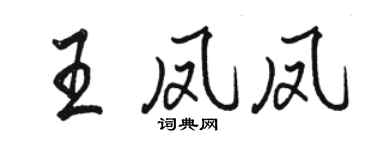 駱恆光王鳳鳳行書個性簽名怎么寫