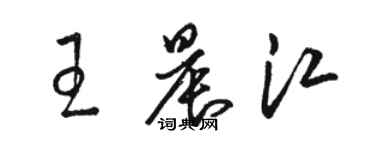 駱恆光王晨江草書個性簽名怎么寫