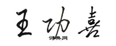 駱恆光王功喜行書個性簽名怎么寫