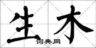 翁闓運生木楷書怎么寫