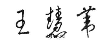 駱恆光王慧葦草書個性簽名怎么寫