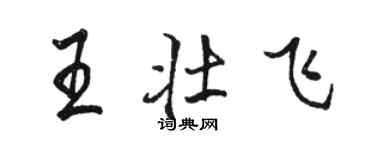 駱恆光王壯飛行書個性簽名怎么寫