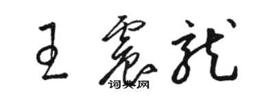 駱恆光王震龍草書個性簽名怎么寫