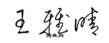 駱恆光王雅晴草書個性簽名怎么寫