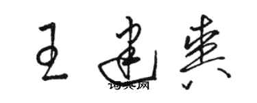 駱恆光王建爽草書個性簽名怎么寫