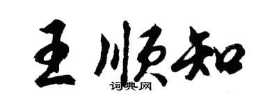 胡問遂王順知行書個性簽名怎么寫
