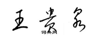 梁錦英王貴泉草書個性簽名怎么寫