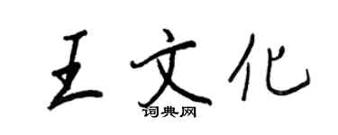 王正良王文化行書個性簽名怎么寫