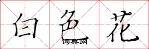 黃華生白色花楷書怎么寫