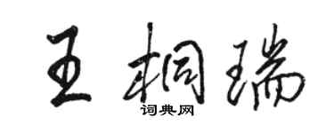駱恆光王桐瑞行書個性簽名怎么寫