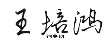 駱恆光王培鴻行書個性簽名怎么寫