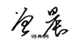 駱恆光曾晨草書個性簽名怎么寫