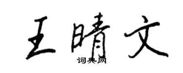 王正良王晴文行書個性簽名怎么寫