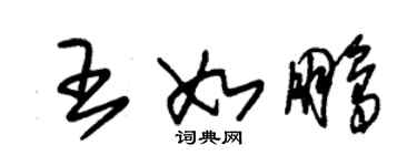 朱錫榮王如鵬草書個性簽名怎么寫