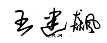 朱錫榮王建飈草書個性簽名怎么寫