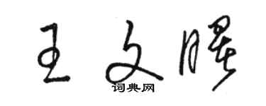 駱恆光王文曙草書個性簽名怎么寫