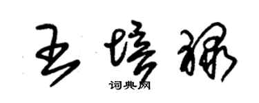 朱錫榮王培祿草書個性簽名怎么寫