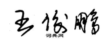 朱錫榮王俊鵬草書個性簽名怎么寫