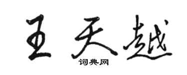 駱恆光王天越行書個性簽名怎么寫