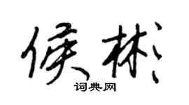 王正良侯彬行書個性簽名怎么寫