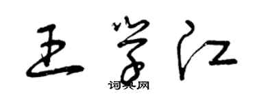 曾慶福王學江草書個性簽名怎么寫