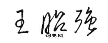 駱恆光王昭強草書個性簽名怎么寫