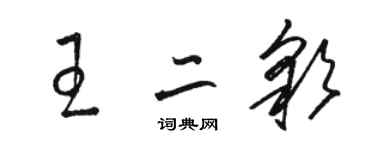 駱恆光王二彩草書個性簽名怎么寫