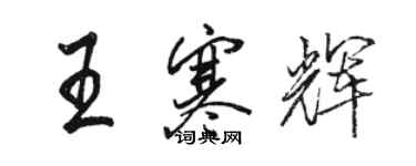 駱恆光王寒輝行書個性簽名怎么寫