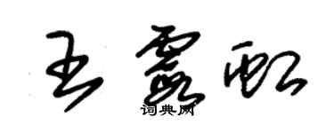 朱錫榮王霞虹草書個性簽名怎么寫