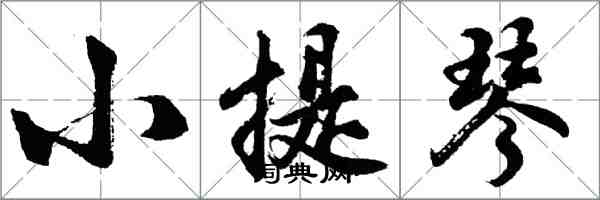 胡問遂小提琴行書怎么寫