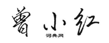 駱恆光曾小紅行書個性簽名怎么寫