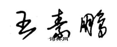 朱錫榮王素鵬草書個性簽名怎么寫