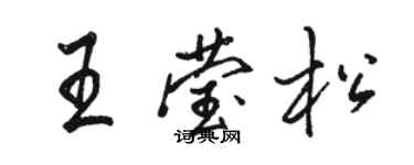 駱恆光王瑩松行書個性簽名怎么寫