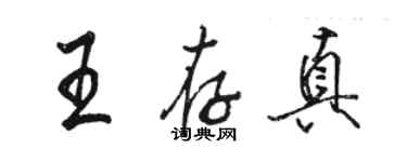 駱恆光王存真行書個性簽名怎么寫