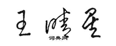 駱恆光王晴星草書個性簽名怎么寫