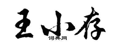 胡問遂王小存行書個性簽名怎么寫