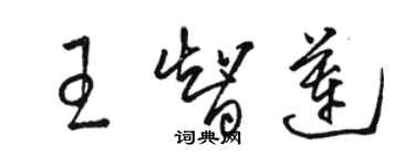 駱恆光王智蓮草書個性簽名怎么寫