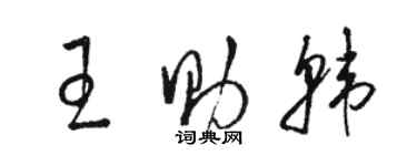 駱恆光王助韓草書個性簽名怎么寫