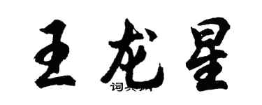 胡問遂王龍星行書個性簽名怎么寫