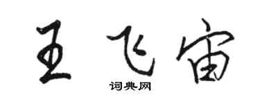 駱恆光王飛宙行書個性簽名怎么寫