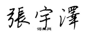 王正良張宇澤行書個性簽名怎么寫
