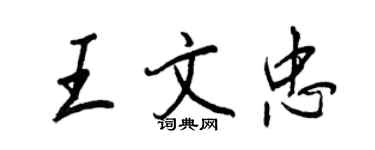 王正良王文忠行書個性簽名怎么寫