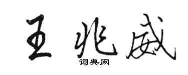 駱恆光王兆威行書個性簽名怎么寫