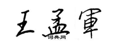 王正良王孟軍行書個性簽名怎么寫