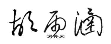 駱恆光胡雨涵草書個性簽名怎么寫