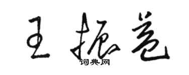 駱恆光王振益草書個性簽名怎么寫