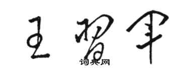 駱恆光王習軍草書個性簽名怎么寫