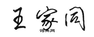 駱恆光王家同行書個性簽名怎么寫