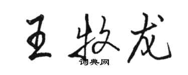 駱恆光王牧龍行書個性簽名怎么寫